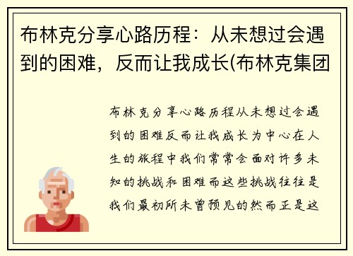 布林克分享心路历程：从未想过会遇到的困难，反而让我成长(布林克集团 brinks)